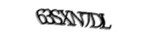 Security check image, please type the characters shown
