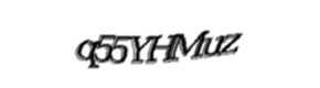 Security check image, please type the characters shown