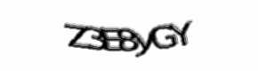 Security check image, please type the characters shown