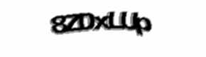 Security check image, please type the characters shown