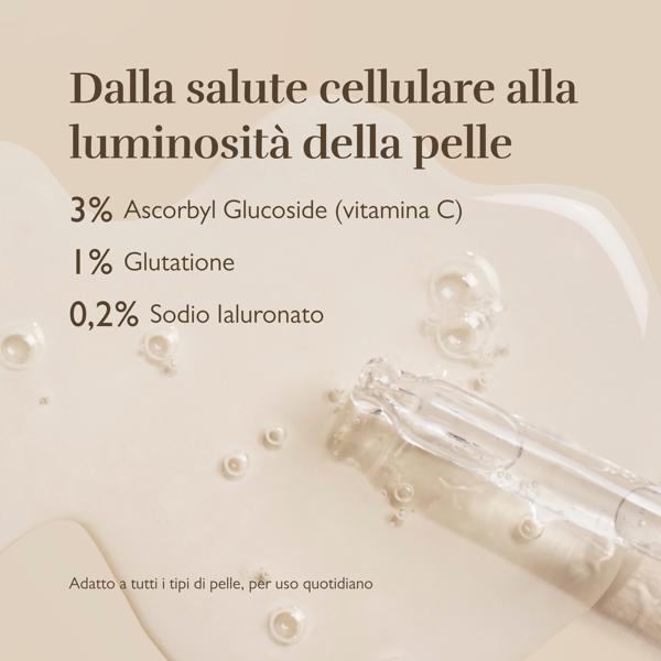 Electroporation Serum