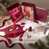 Silk'n LED Face Mask Pro Gifting Box