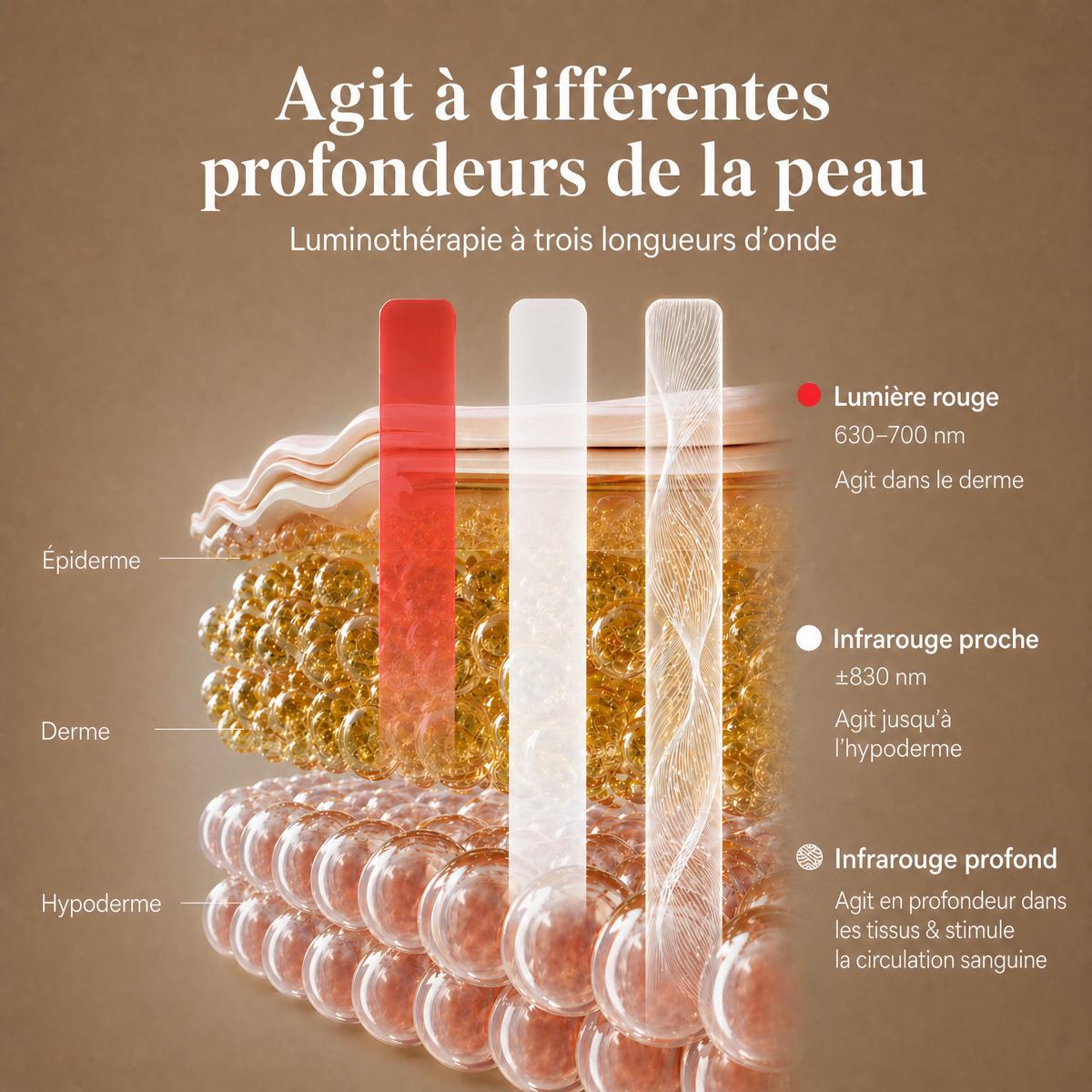 Luminoth&eacute;rapie agit &agrave; diff&eacute;rentes profondeurs de la peau